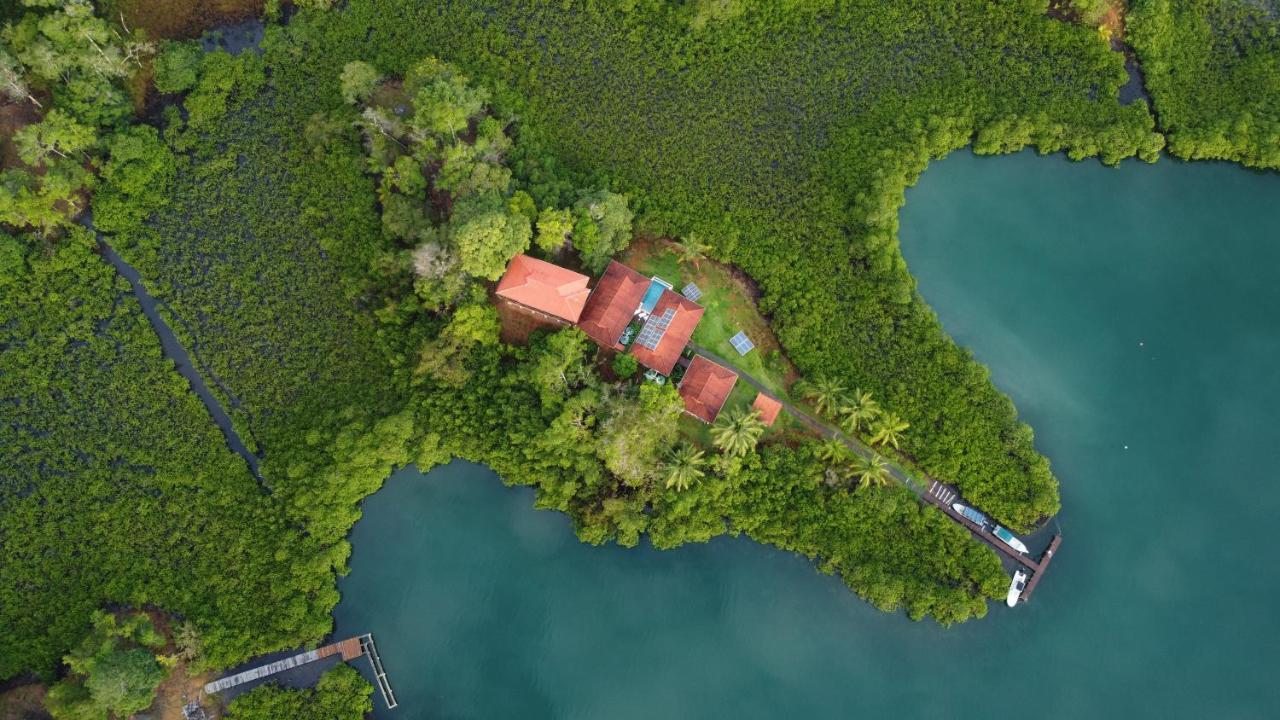 보카스 타운 Casa Marlin B&B 외부 사진