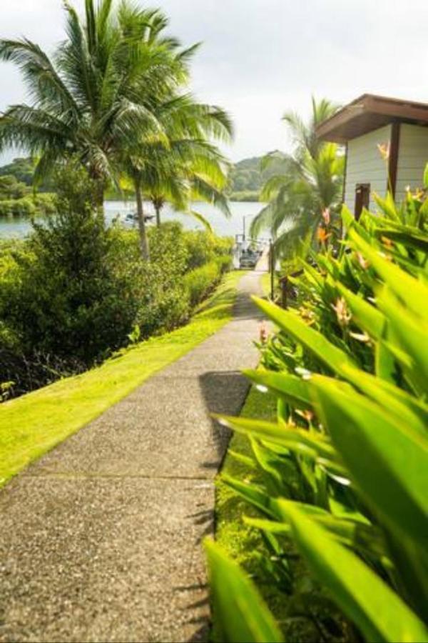 보카스 타운 Casa Marlin B&B 외부 사진